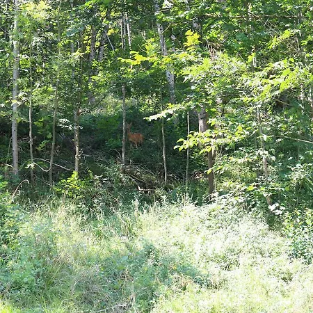 Monika-mellau Self-check-in 24-7 *