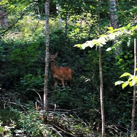 Monika-mellau Self-check-in 24-7 شقة ميلاو