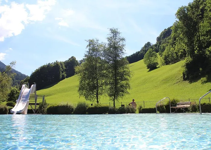 Apartment Monika-mellau Mellau